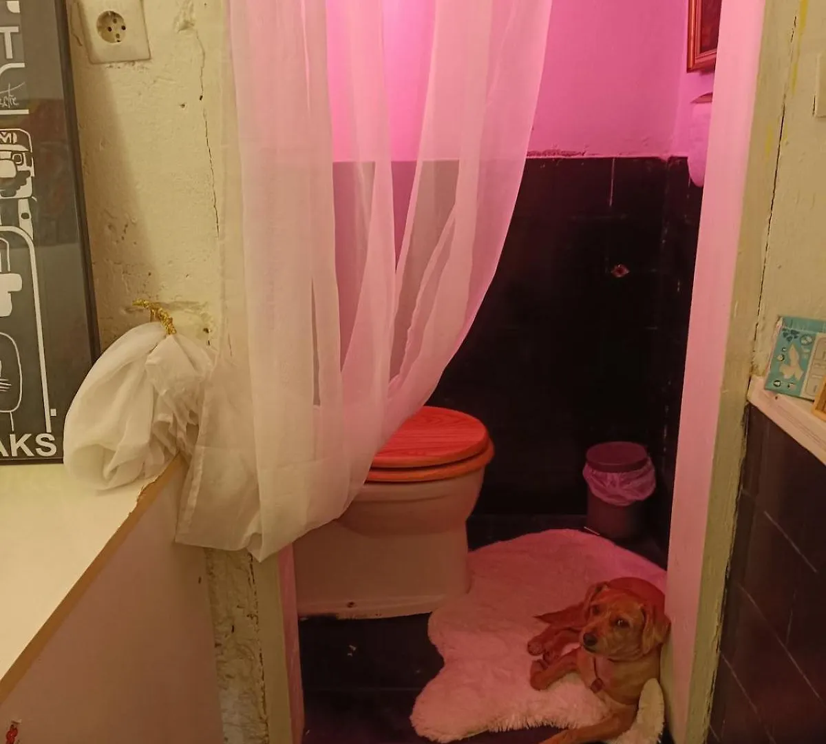 Apartment Atelier In Vienna Center, No Shower, Entire Place Austria